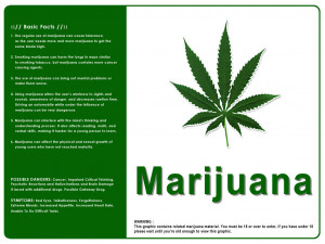 Marijuana Funny Quotes Doblelolcom Picture