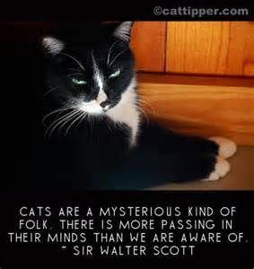 Sir Walter Scott Cat Quote.